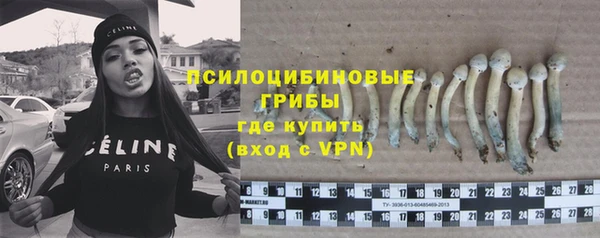 тгк Саяногорск
