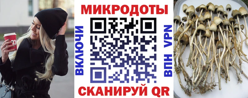 Купить Реж Галлюциногенные грибы мухоморы